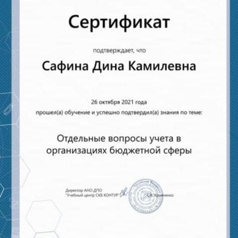 Сертификат студентки колледжа ТИСБИ Сафиной Дины