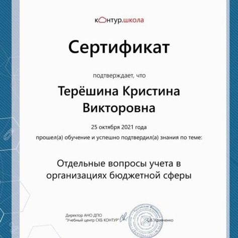 Сертификат студентки Колледжа ТИСБИ Терёшиной Кристины