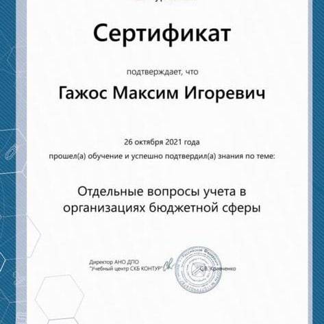 Сертификат студента колледжа ТИСБИ Гажос Максима
