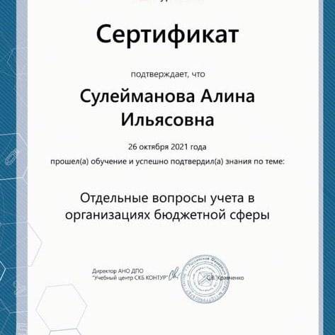 Сертификат студентки Колледжа ТИСБИ Сулеймановой Алины